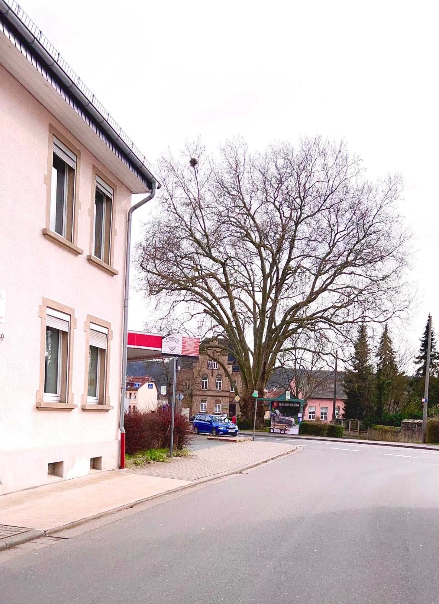 Vinaring Homestay Bad Sobernheim Dış mekan fotoğraf